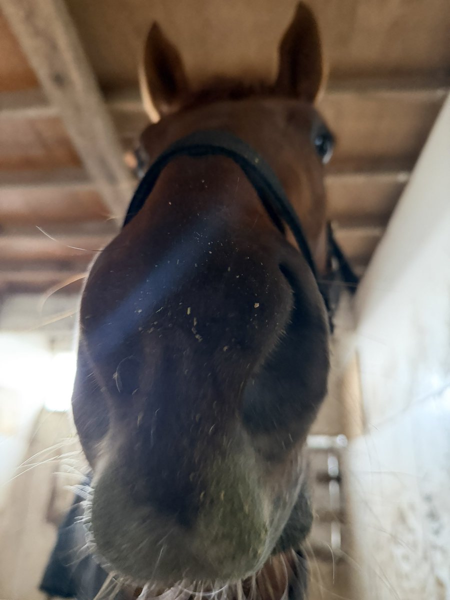 ひ か り tweet media