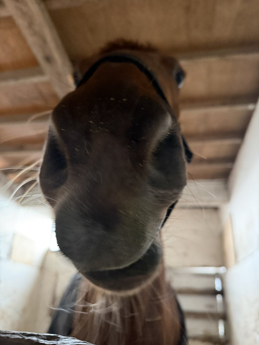 ひ か り tweet media