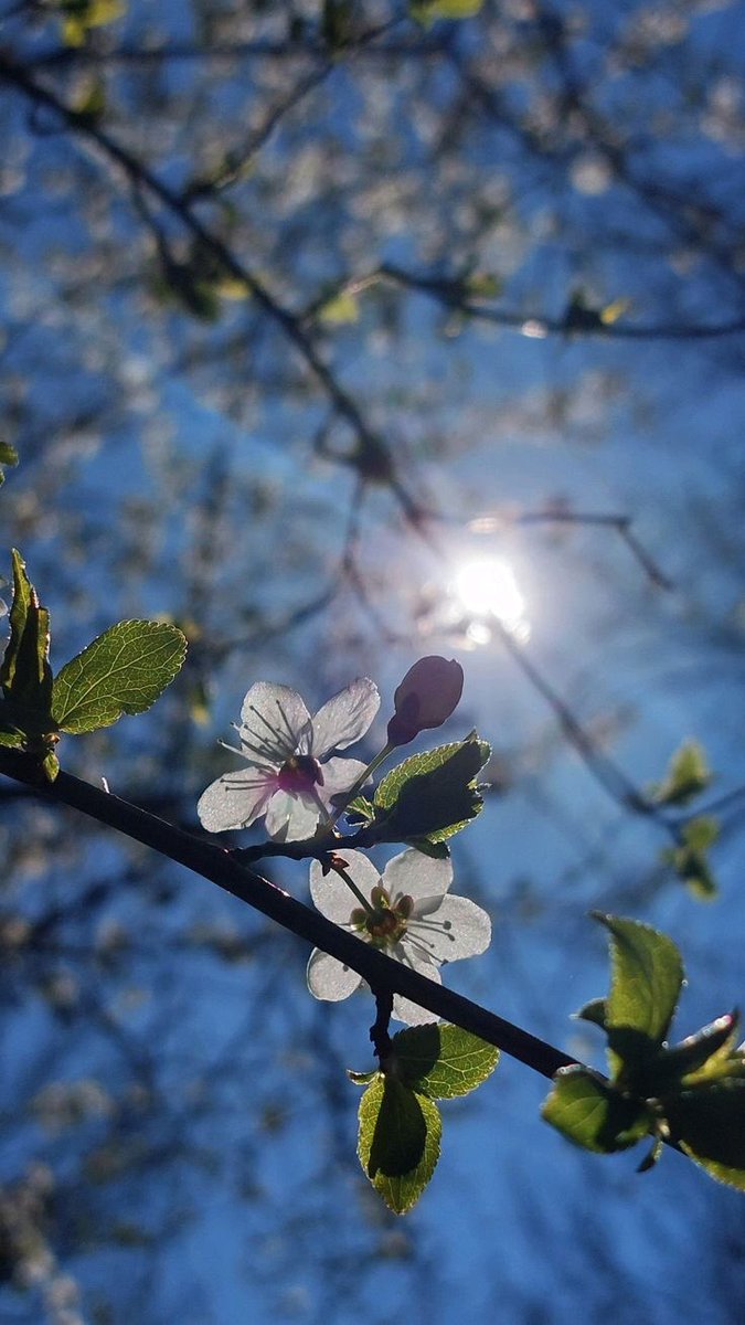 "Nasip; vazgeçildiğinde değil, sabrettiğinde beklemektir.." gelir. Zira dua, kapıyı çalmak değil; eşikte beklemektir...".