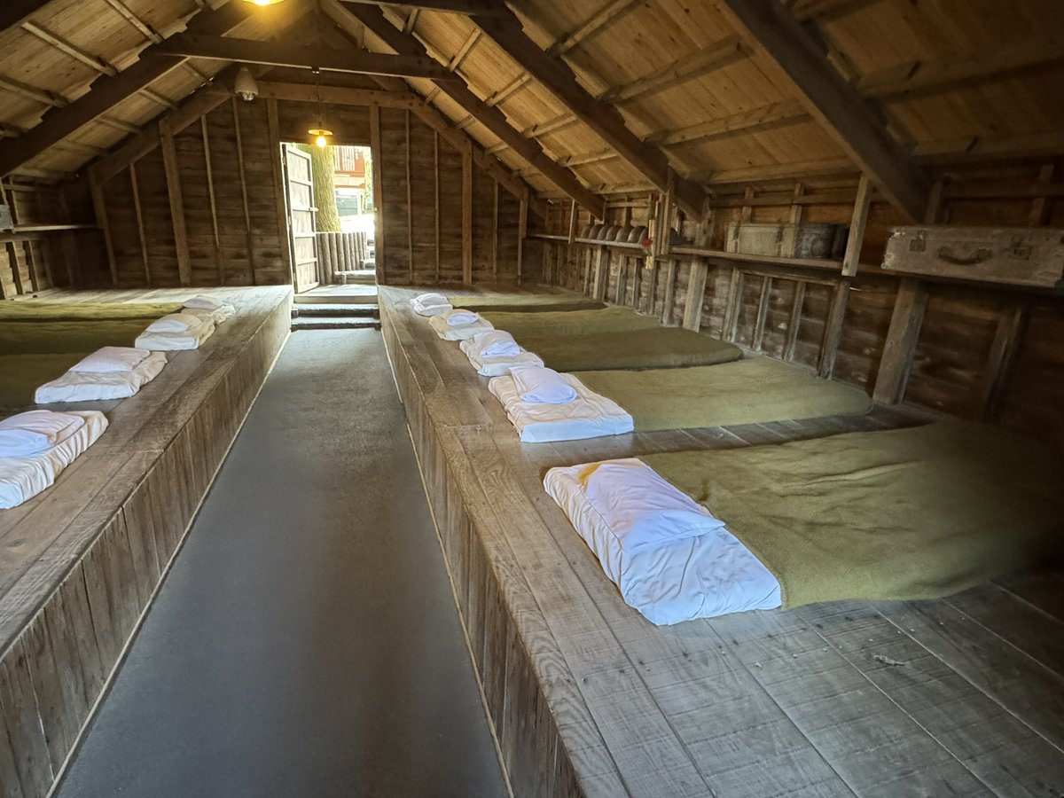 フィッツ tweet media