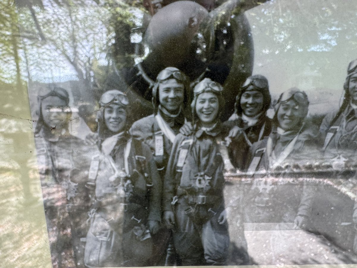 フィッツ tweet media