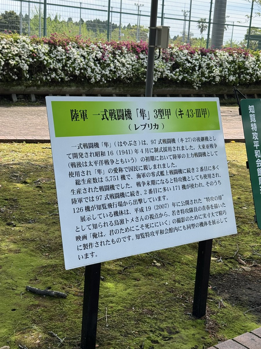 フィッツ tweet media