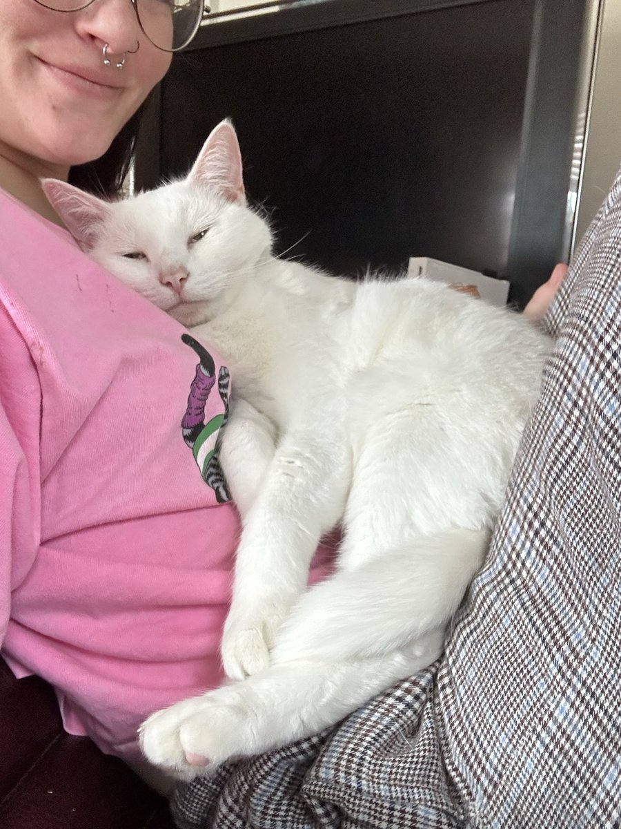 casper & gimli !! tweet media