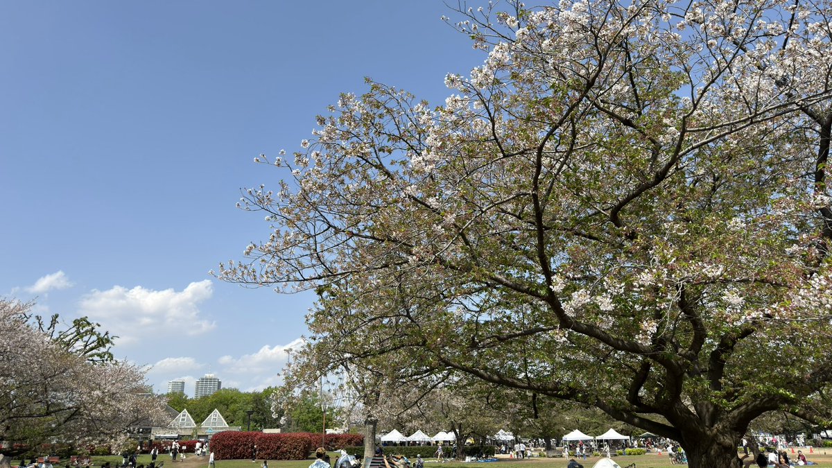 清澄白河に住むひと tweet media