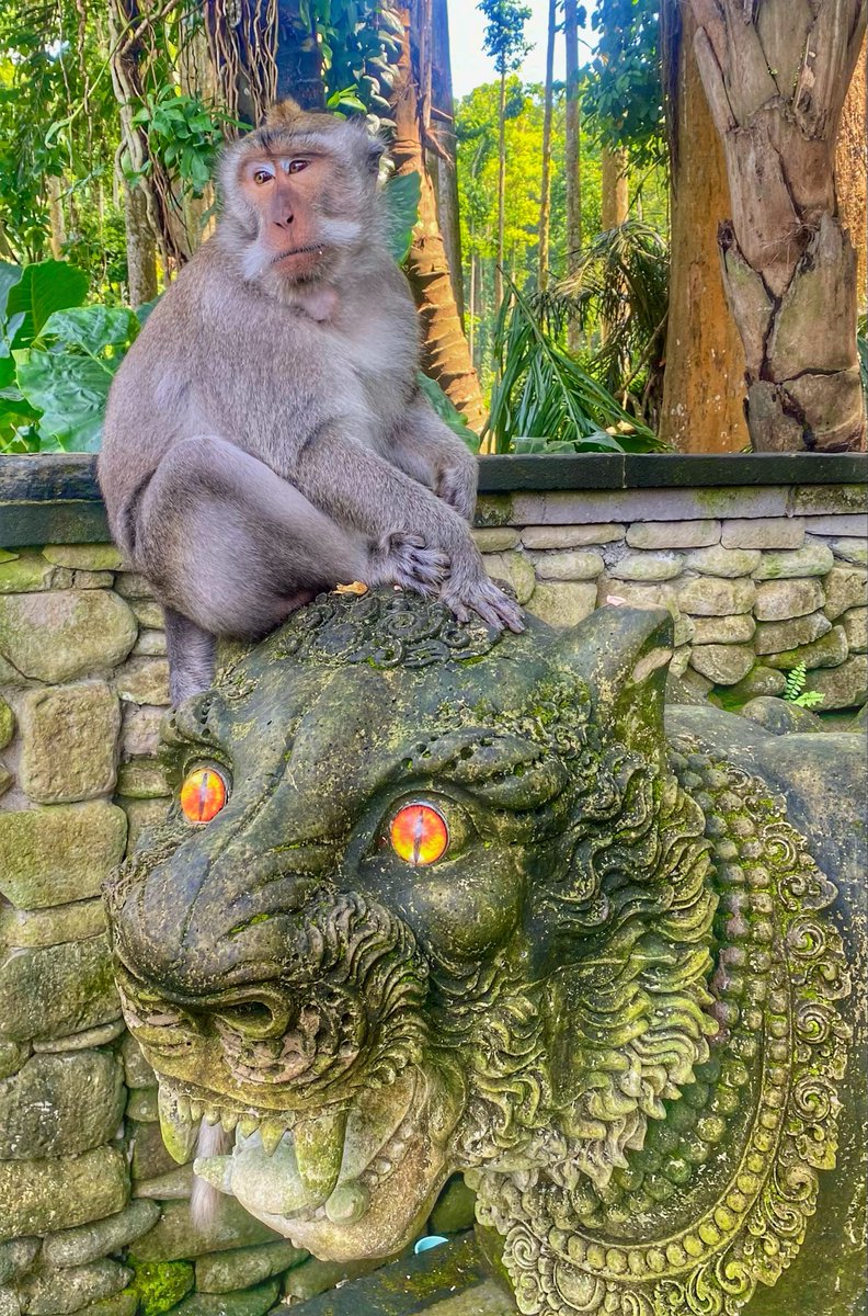 BkkShadow tweet media