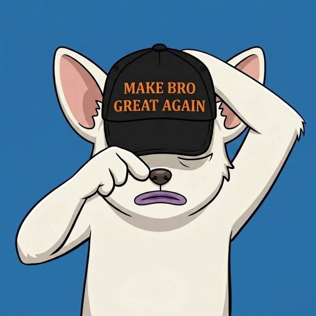 Bro tweet media