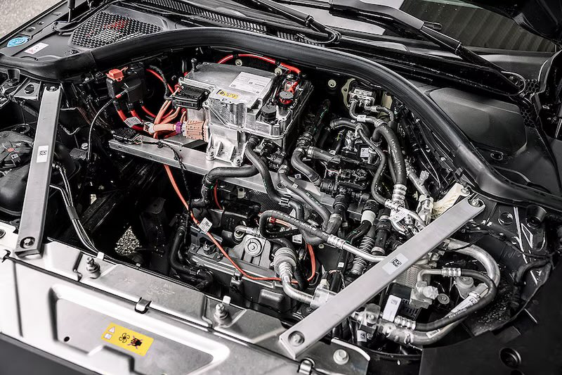 Nic Cruz Patane tweet media