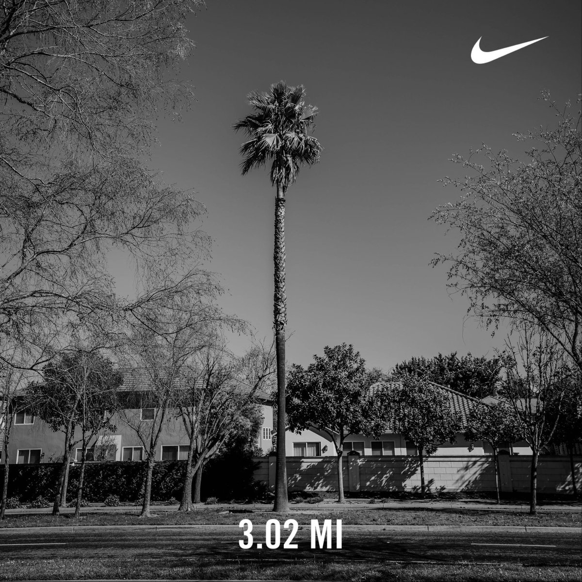 bigperm1974's tweet image. #nikerunclub #nikefuel #nrc #salinasrunclub @stigma.wellness   @rhc.monterey