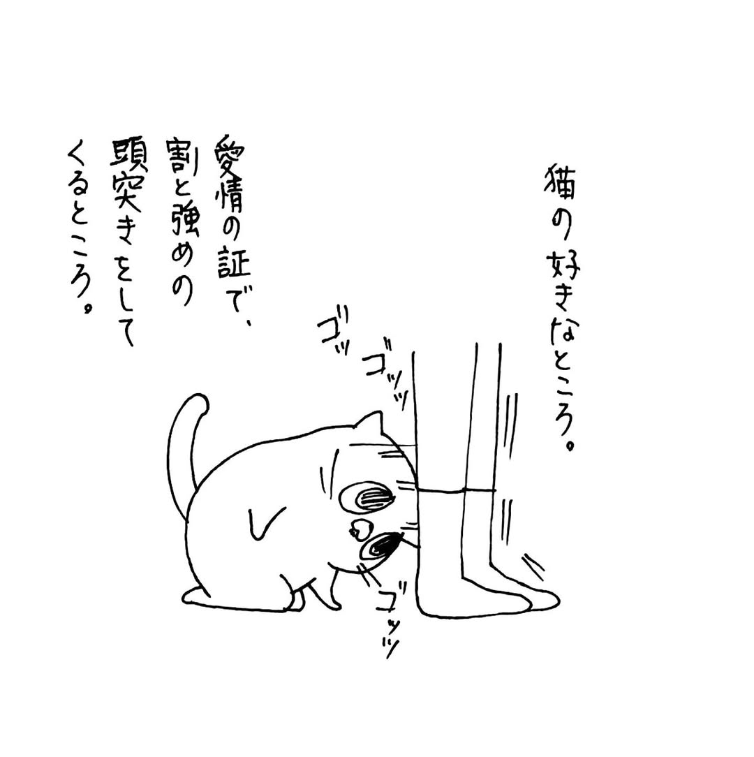 うさぎのみみちゃん😇デザフェス両日西1階B-10 tweet media