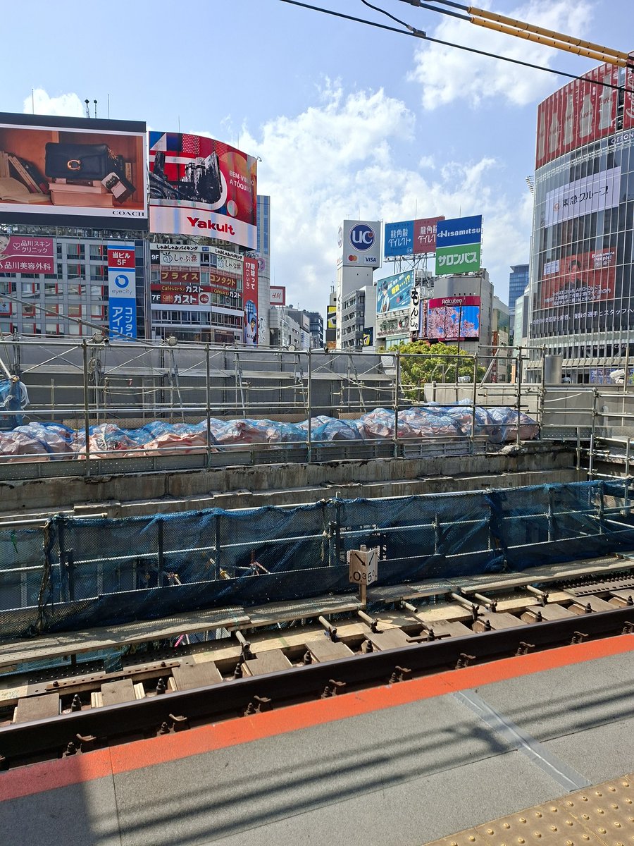 Abhee 🦐 minors dni tweet media