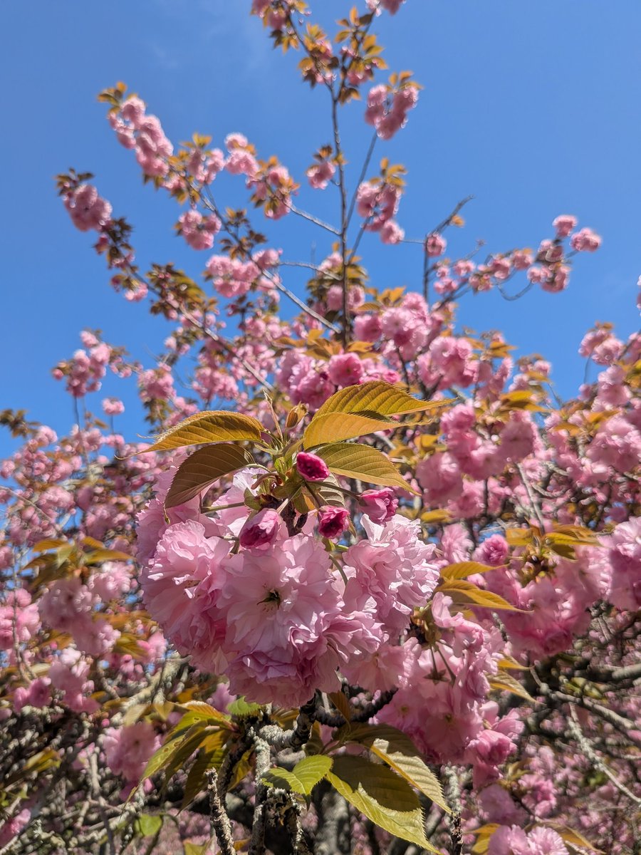 らみぃ tweet media