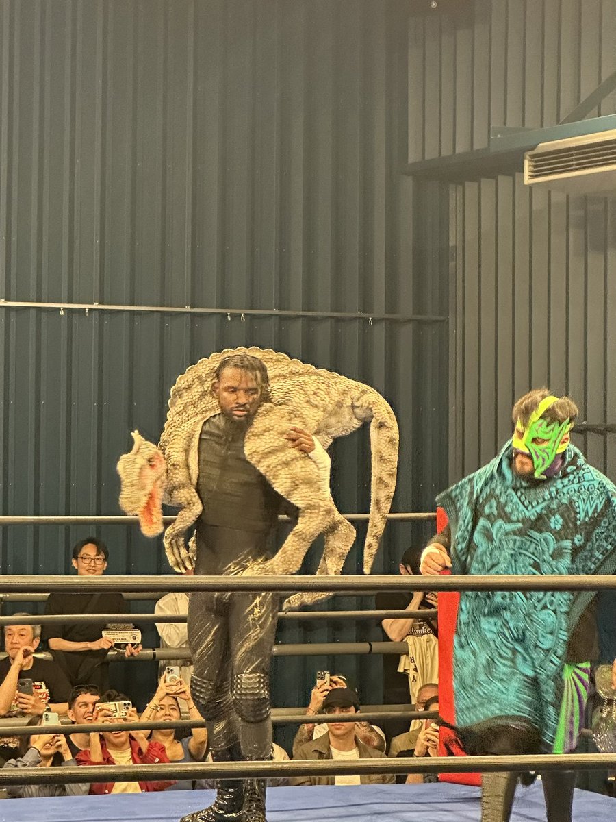 オカダンナ tweet media