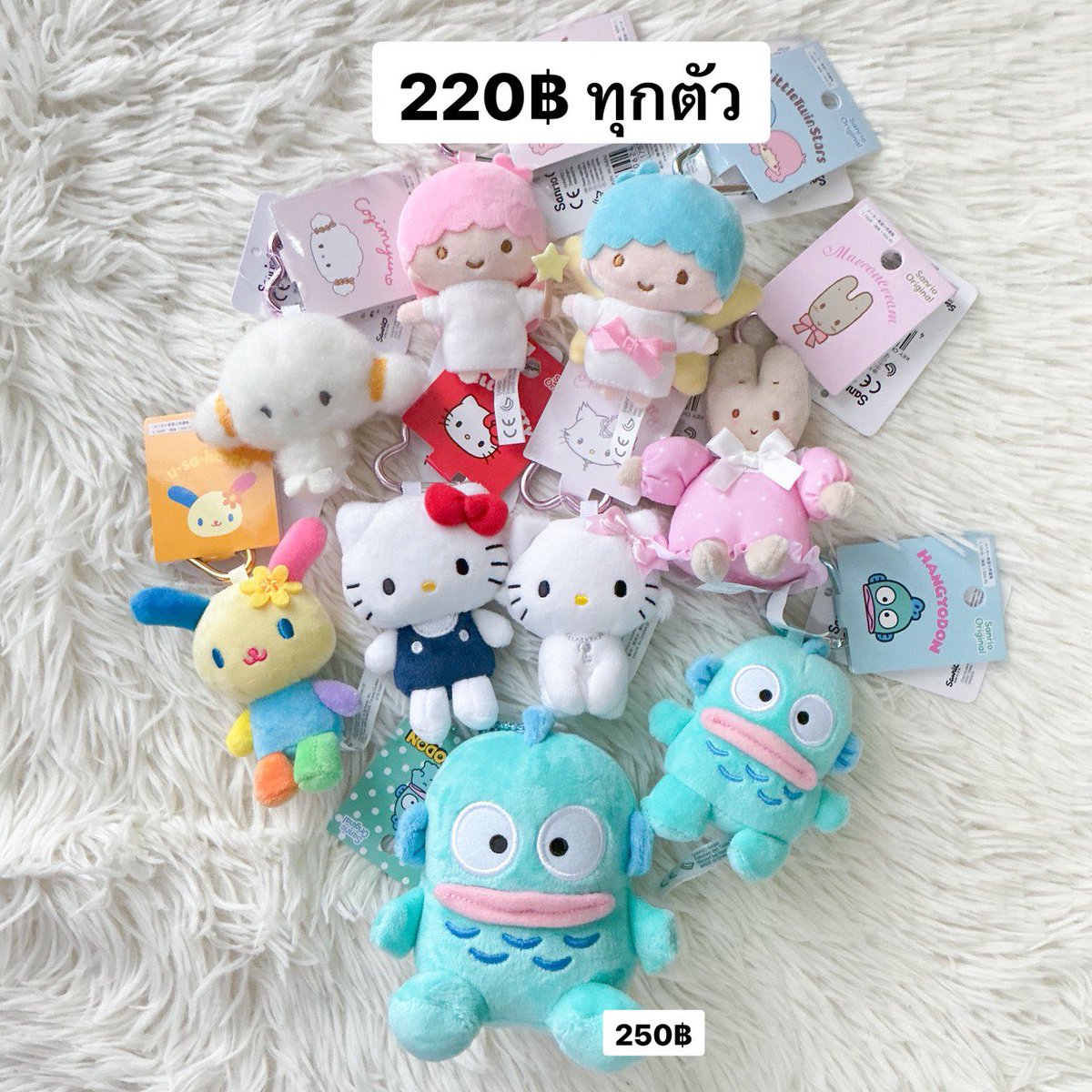 sanrio🎀kitkat🍫 tweet media