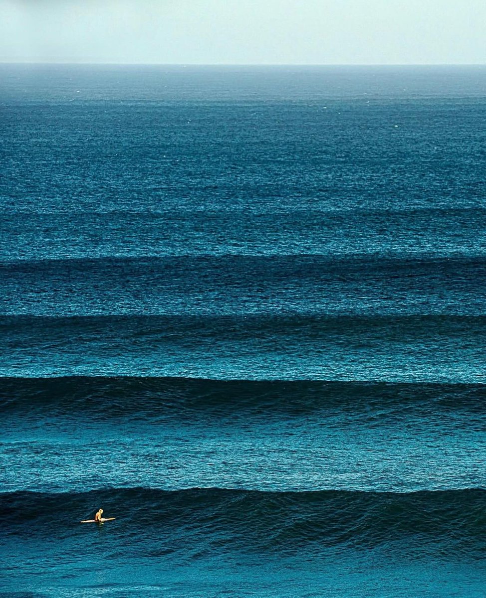 Delight Moments tweet media