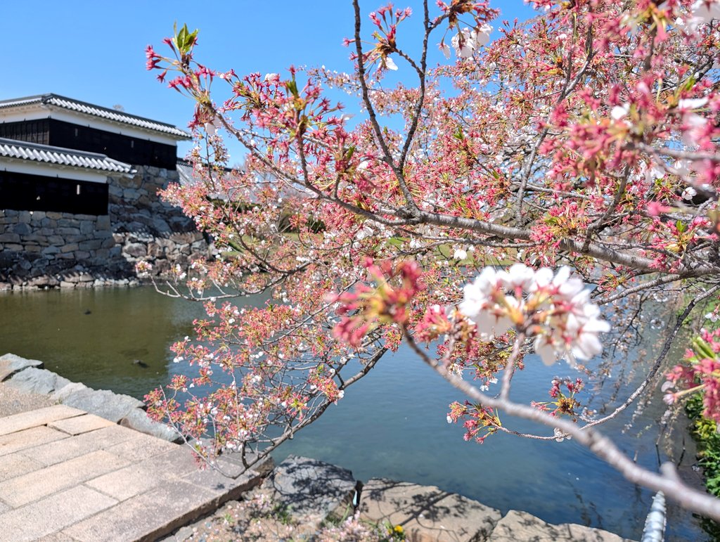 leica_elmar tweet media