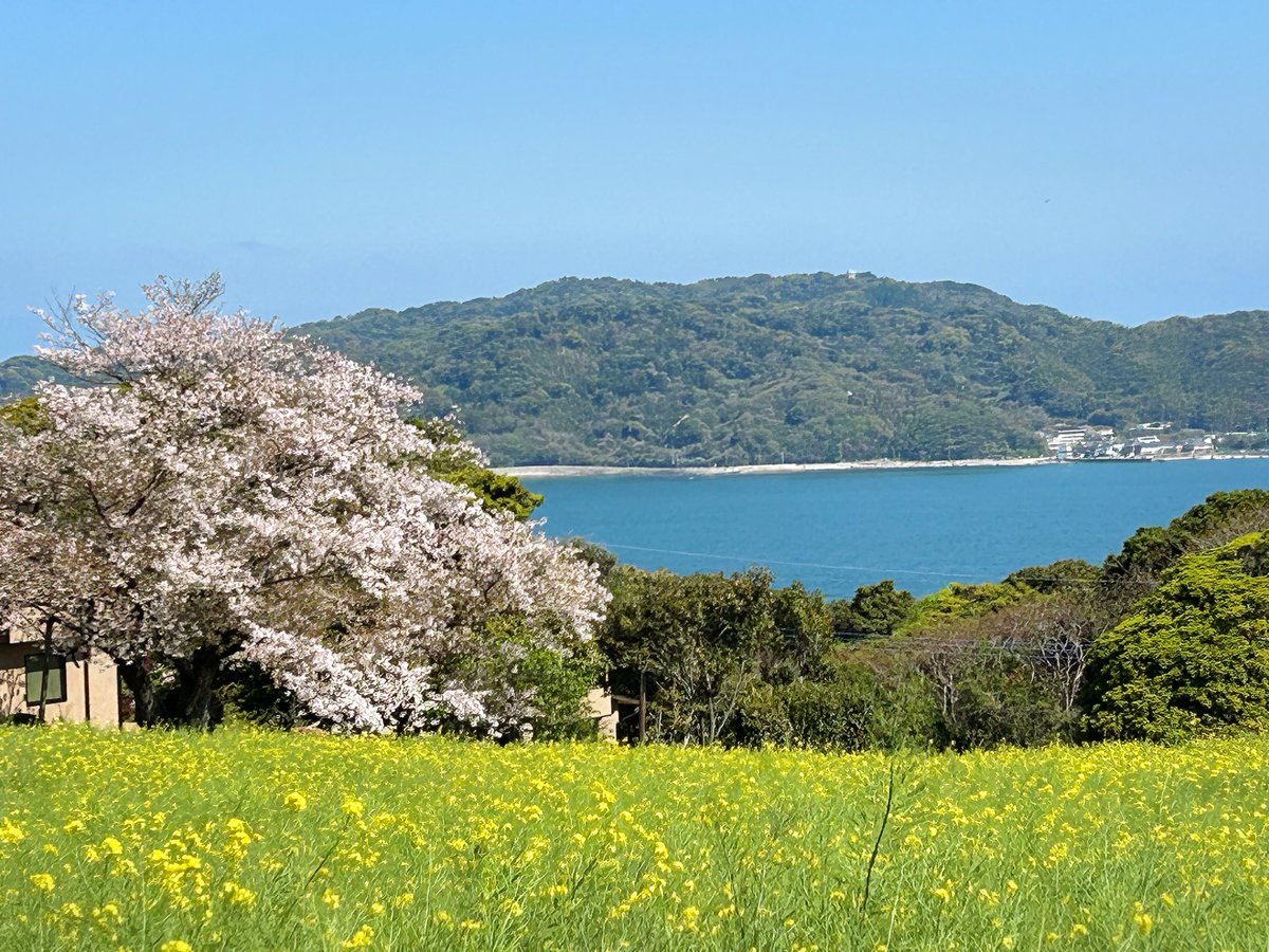 アイコ tweet media