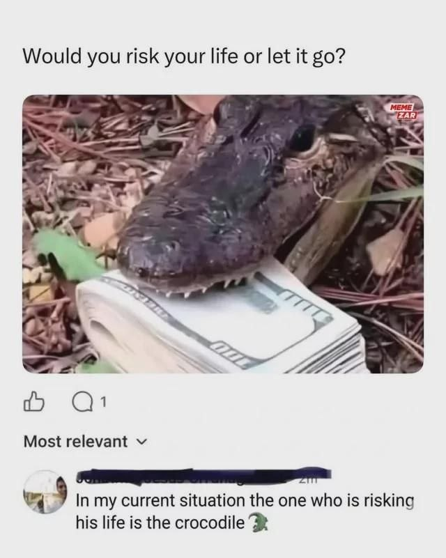 Fight With Memes tweet media