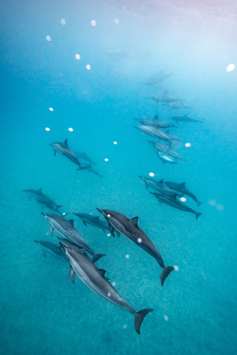 Yusuke Okada｜岡田裕介 tweet media