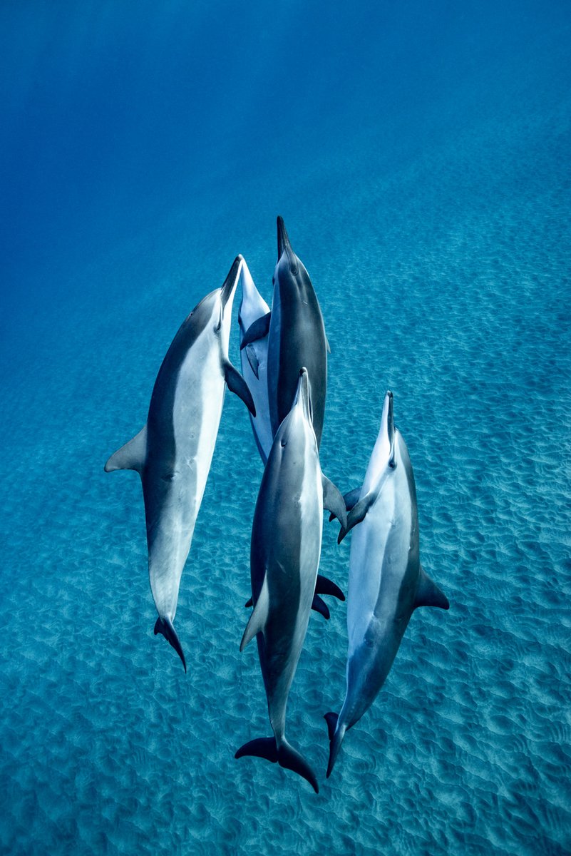 Yusuke Okada｜岡田裕介 tweet media