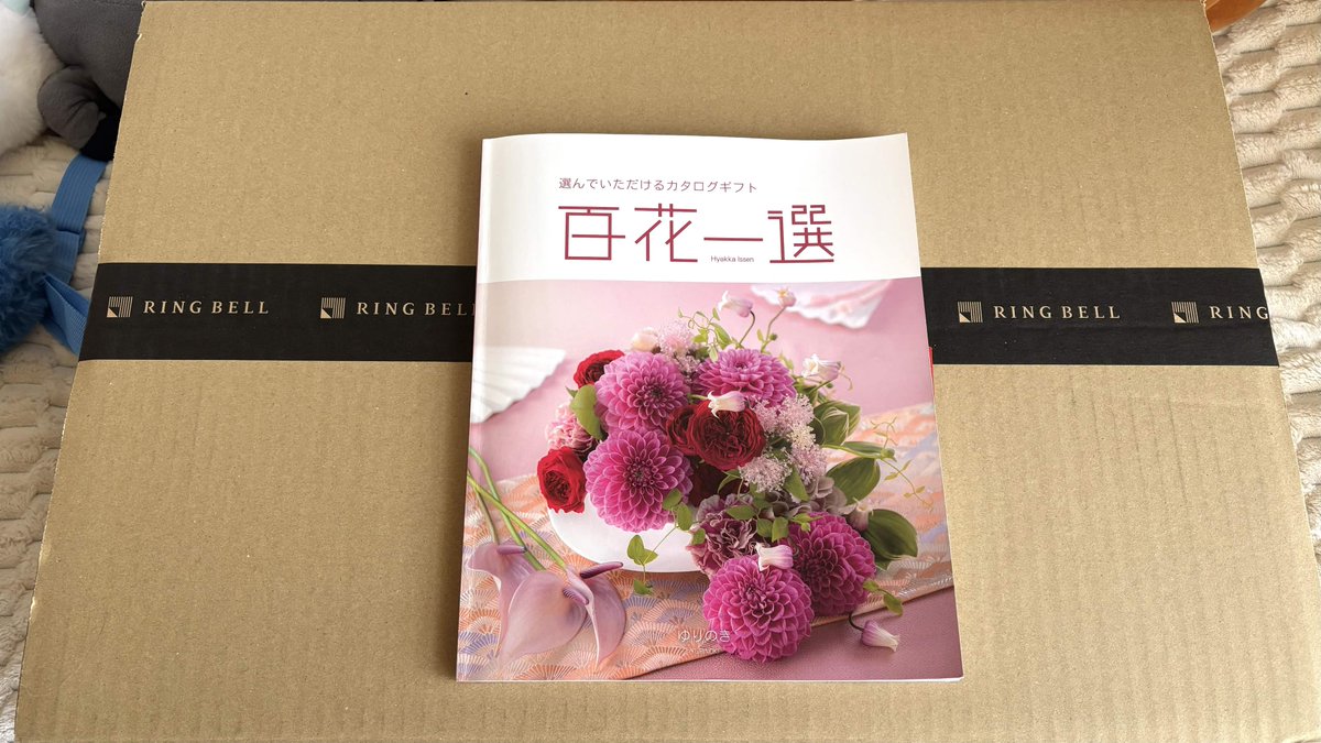 あかね大佐 tweet media