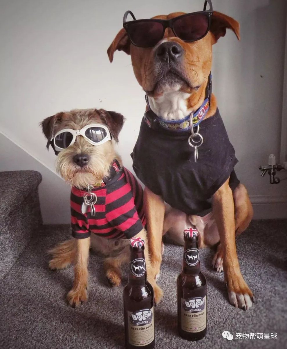 christa bastuck tweet media