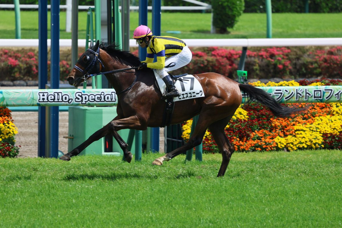 イッシー tweet media