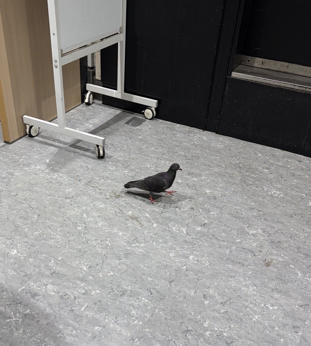 💜 クソガキポキ二かせきちゃん 🩷 tweet media