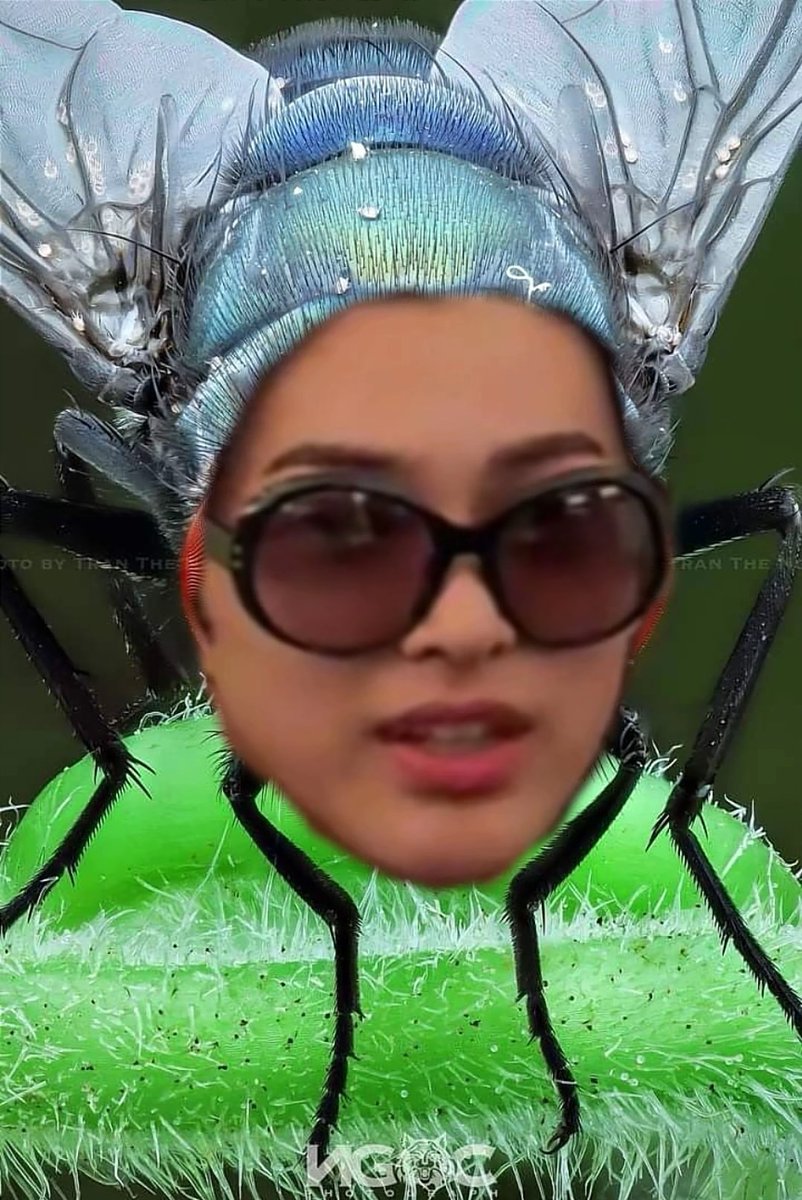 youngkiekie_'s tweet photo. SIAPA YANG NGEDIT KEONHO LALAT ANJERR PECAH KETAWA GUE https://t.co/oES3zw8eCT