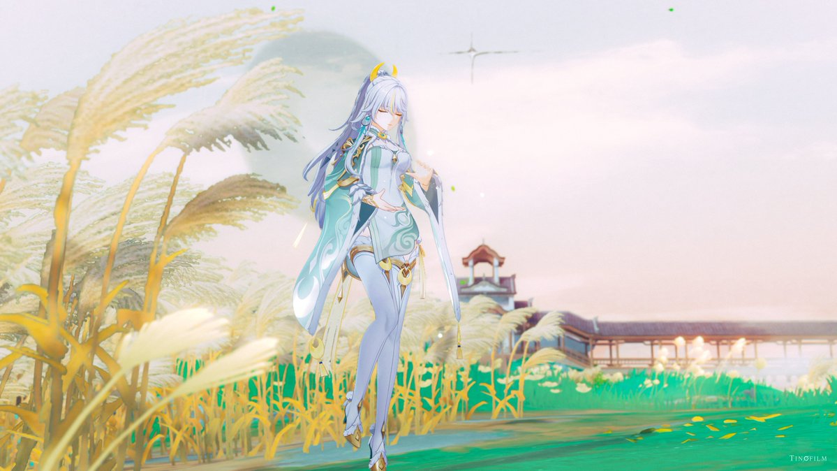 ティーノ┊︎TINOFILM tweet media