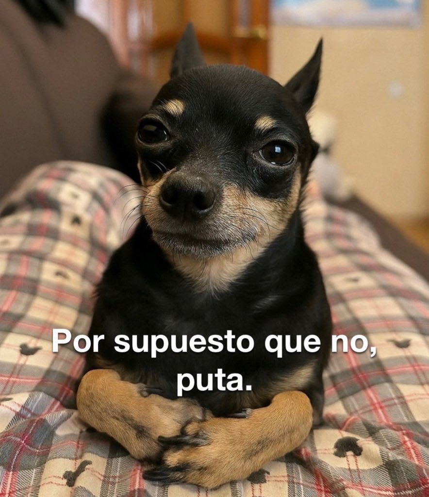 Bender Experto en Cuetes y Tierra Plana tweet media