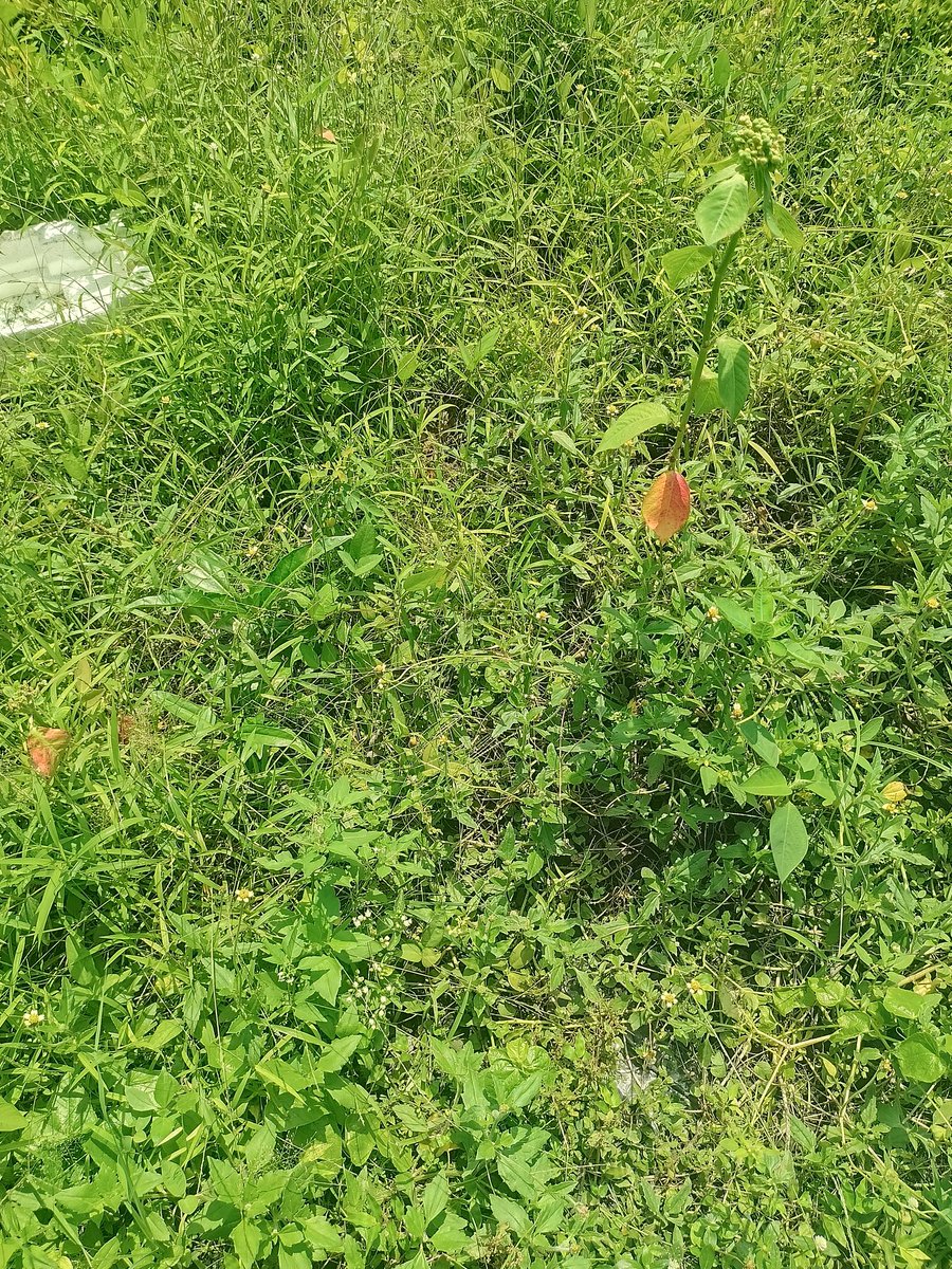 tal🐣❄️ tweet media