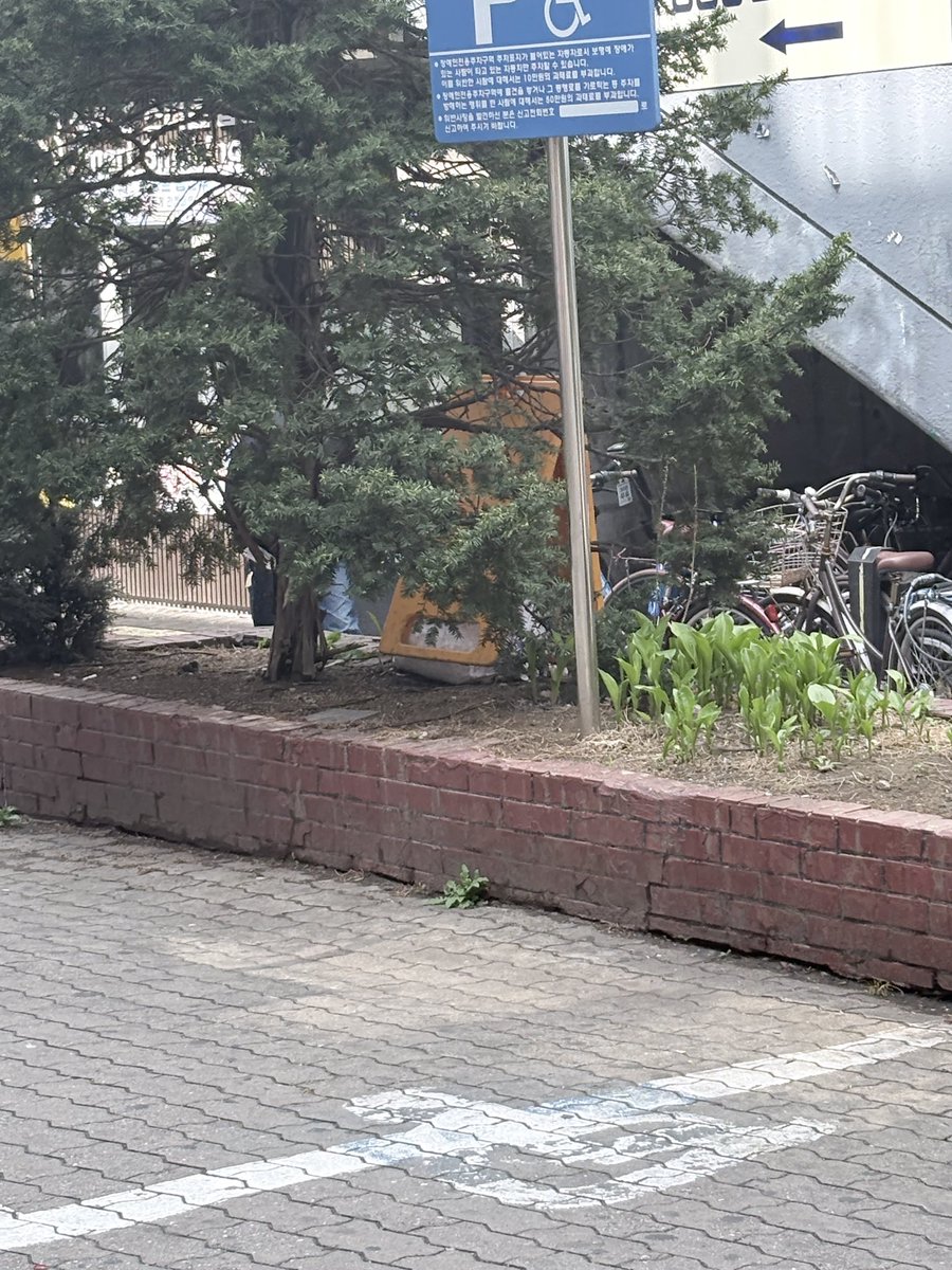 𝐫𝐚𝐧 tweet media