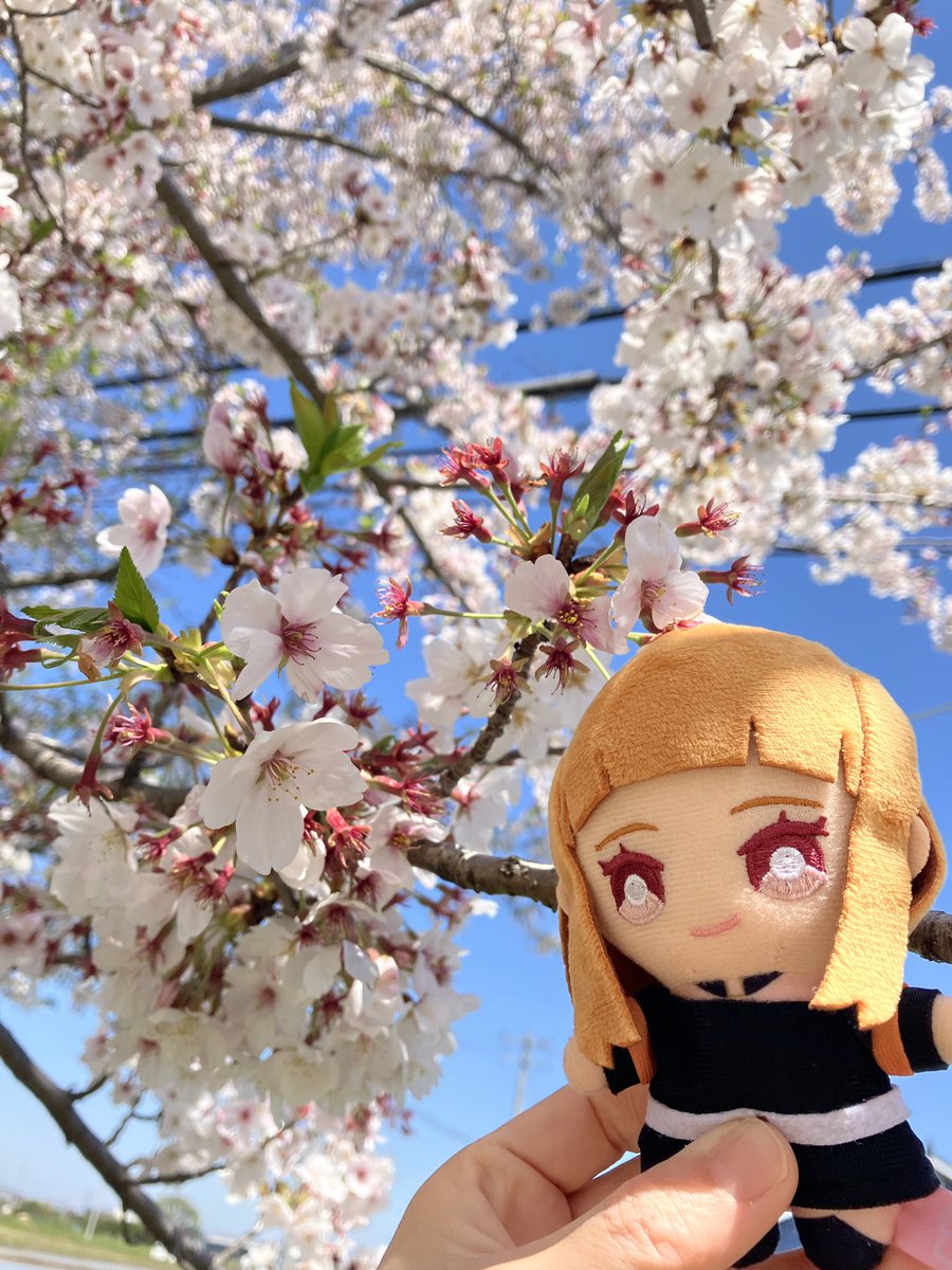 arukidase's tweet photo. この前お花見に行って来ました🌸
緑もﾁﾗｯ👀と見えてたけど
それはそれでいい…✨✨
これからもえとさんといっぱい
旅したい🌟 https://t.co/kRNt1ZpoKS