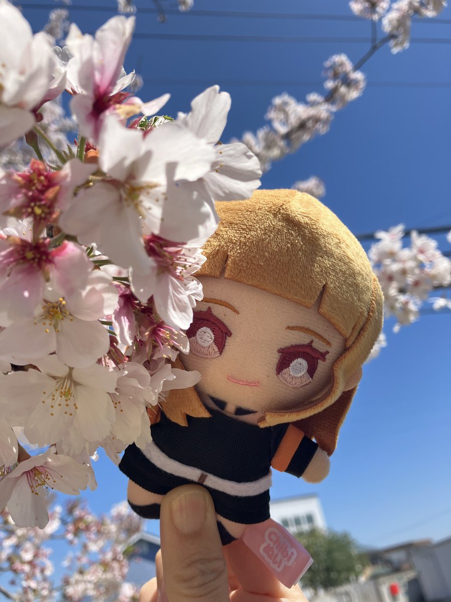 arukidase's tweet photo. この前お花見に行って来ました🌸
緑もﾁﾗｯ👀と見えてたけど
それはそれでいい…✨✨
これからもえとさんといっぱい
旅したい🌟 https://t.co/kRNt1ZpoKS
