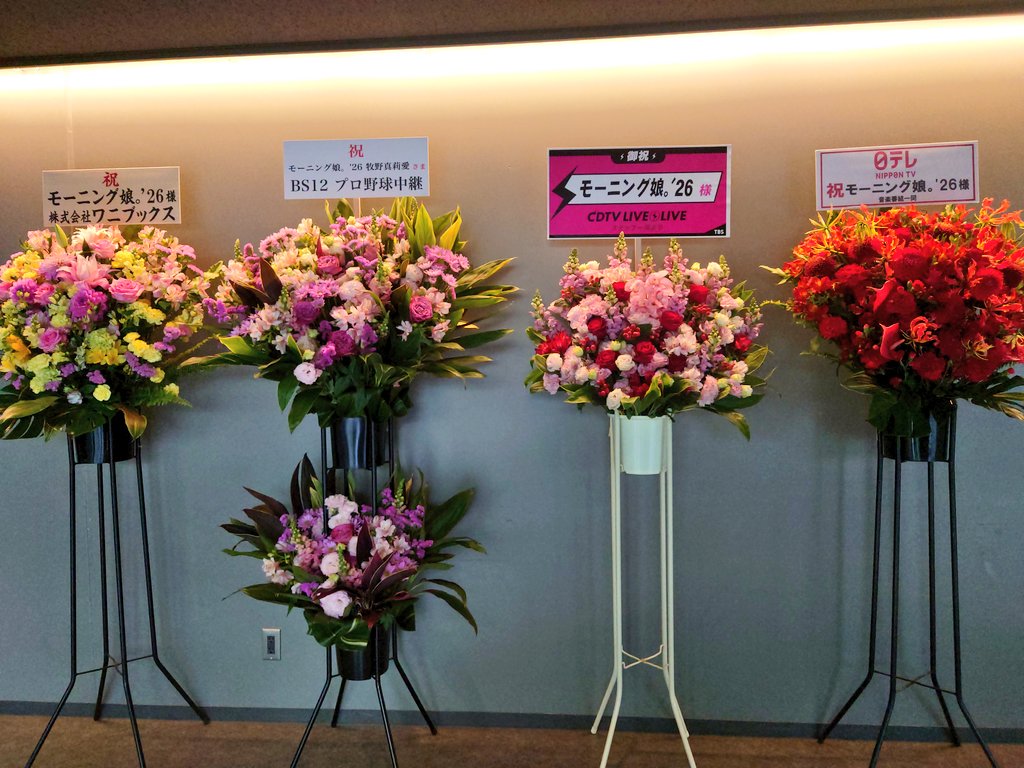 最強せつこ tweet media