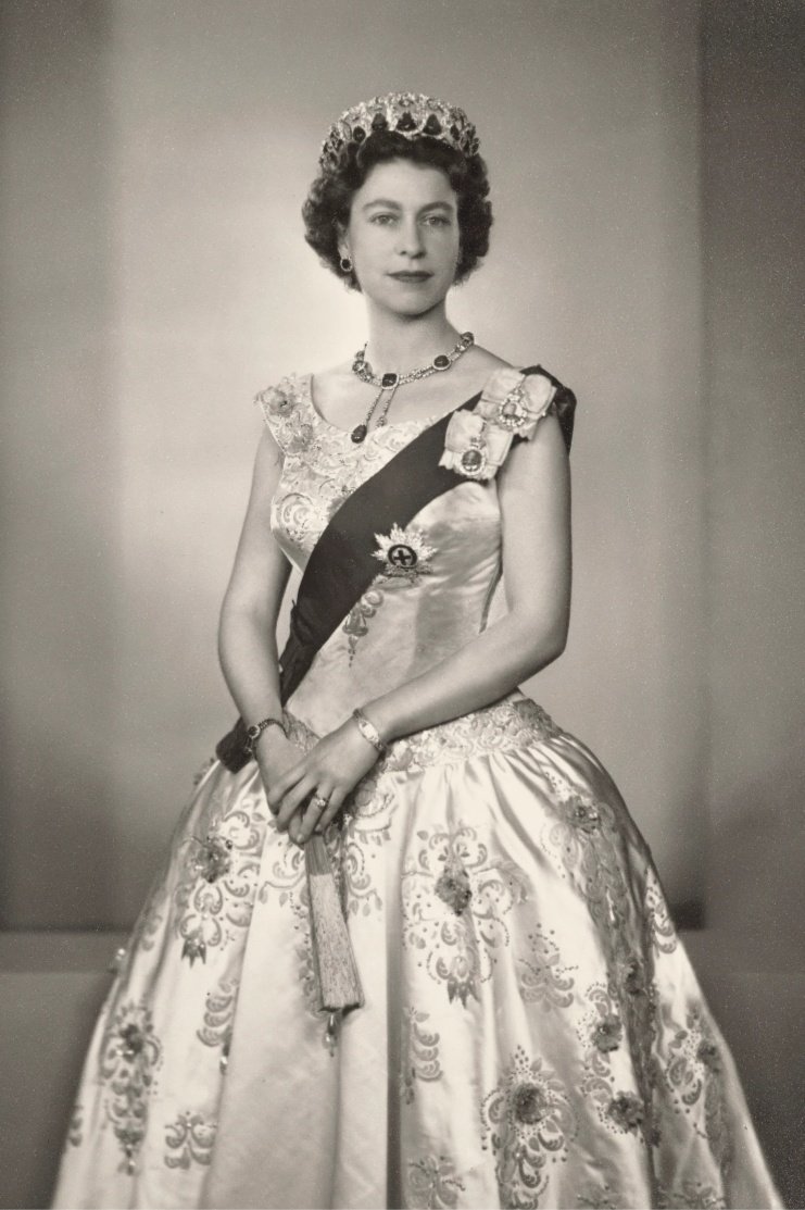 Gracie💙 tweet media