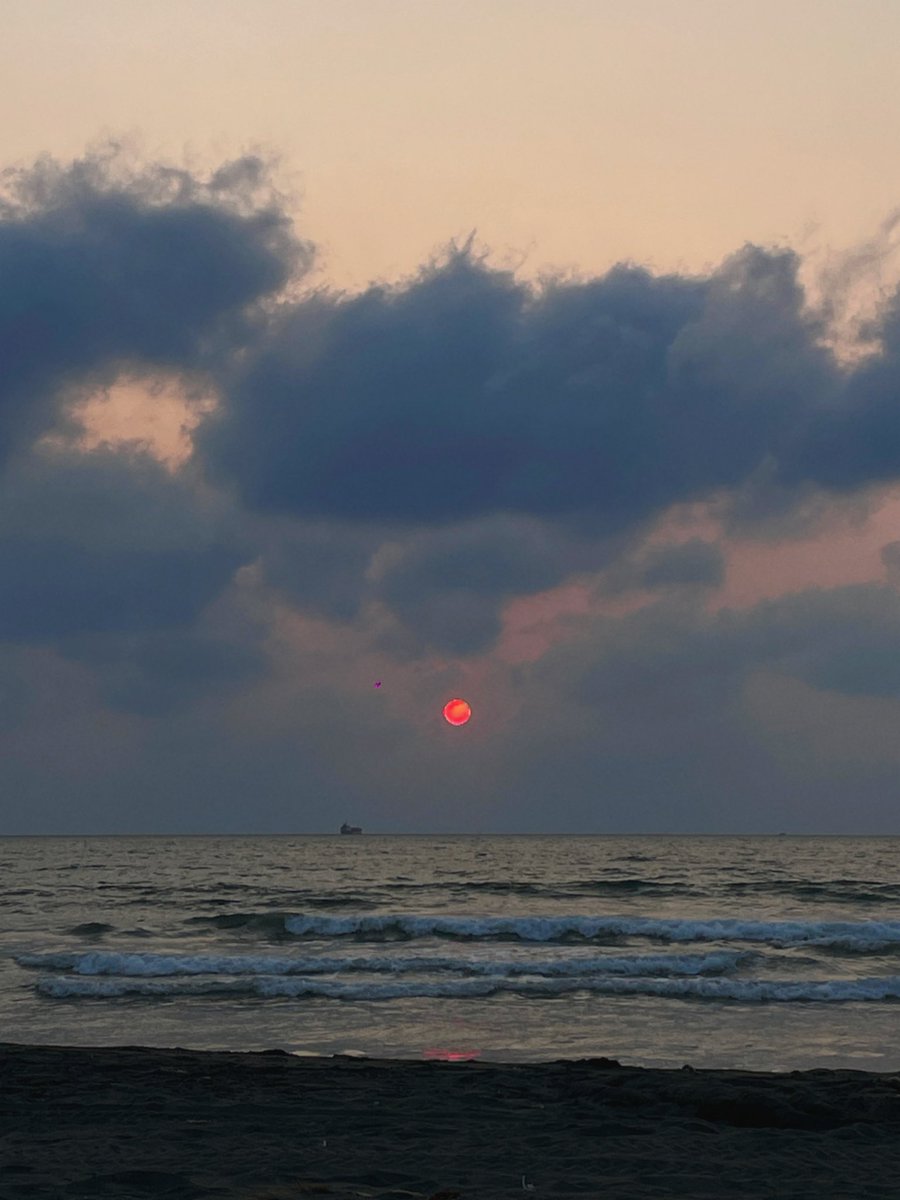 女明星 tweet media