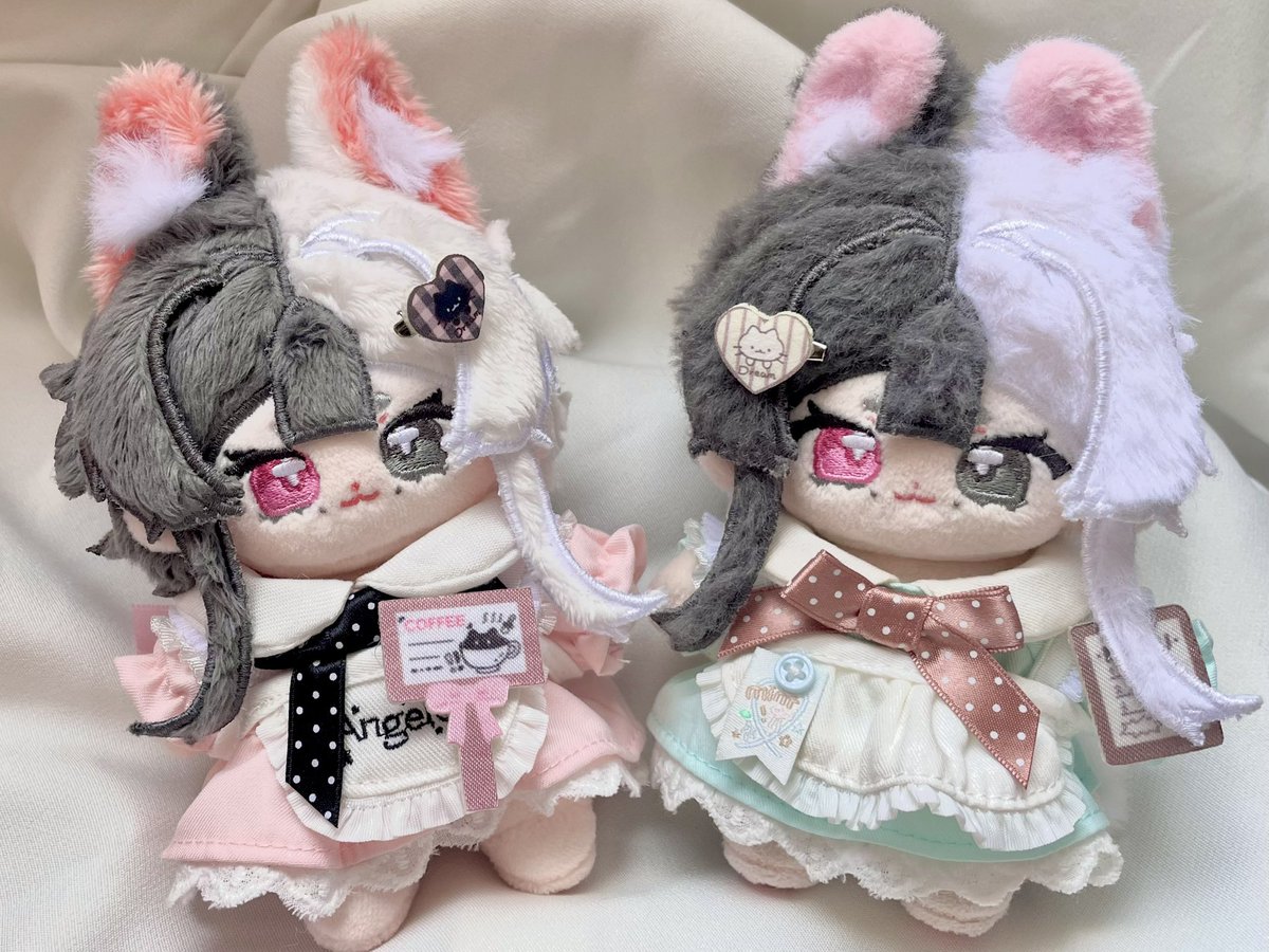 雙胞胎回家🤲🥺