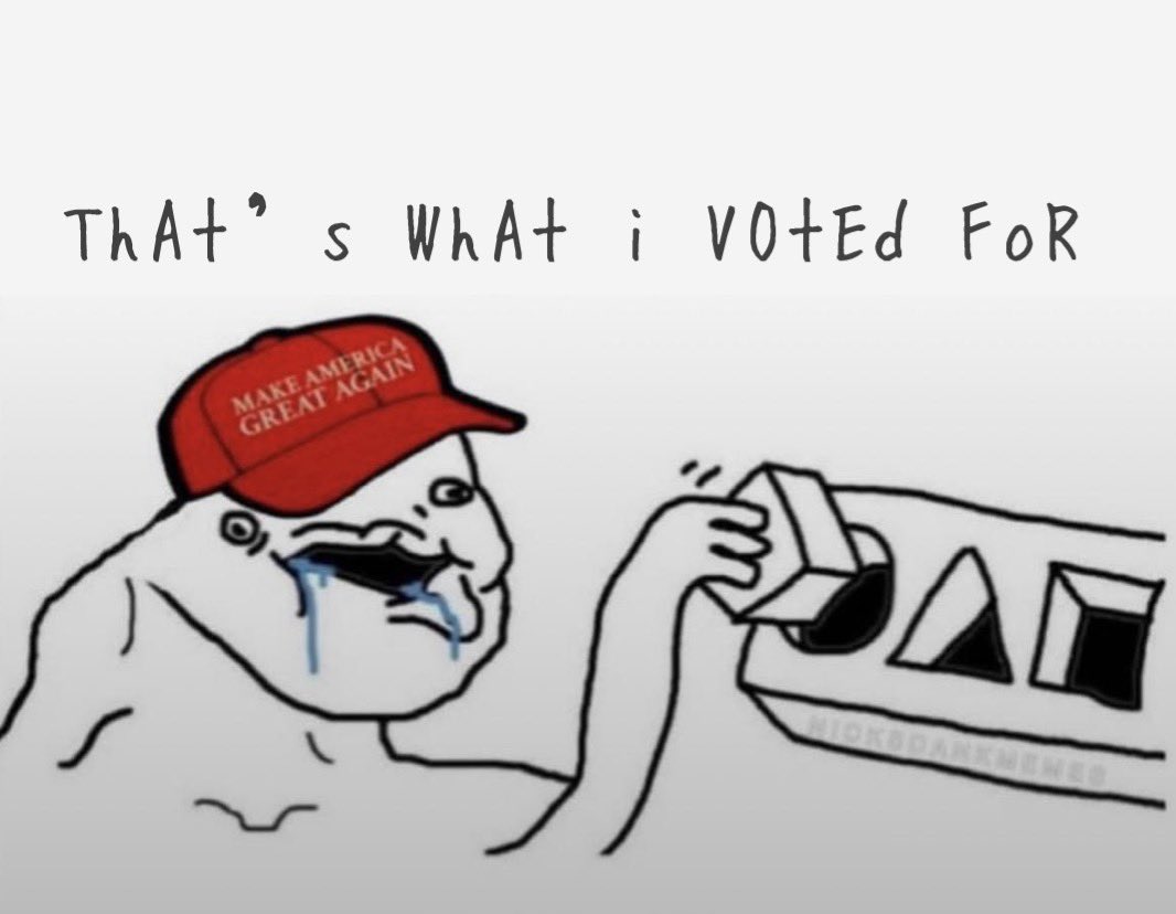 trumpedo 🇺🇸 tweet media