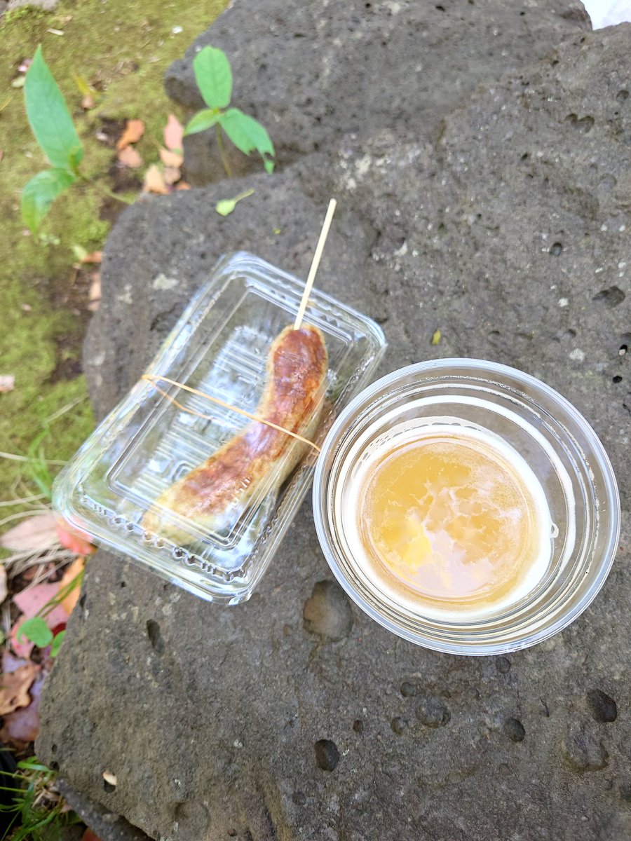 疲弊しきって寝落ちするホタルイカ tweet media