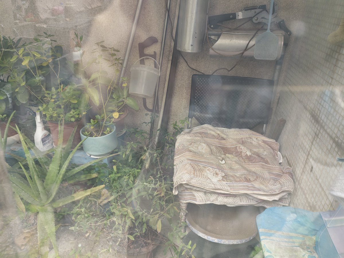 Richard S. Orton tweet media