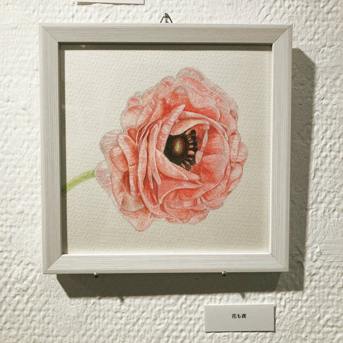 ペーターズショップ＆ギャラリー tweet media