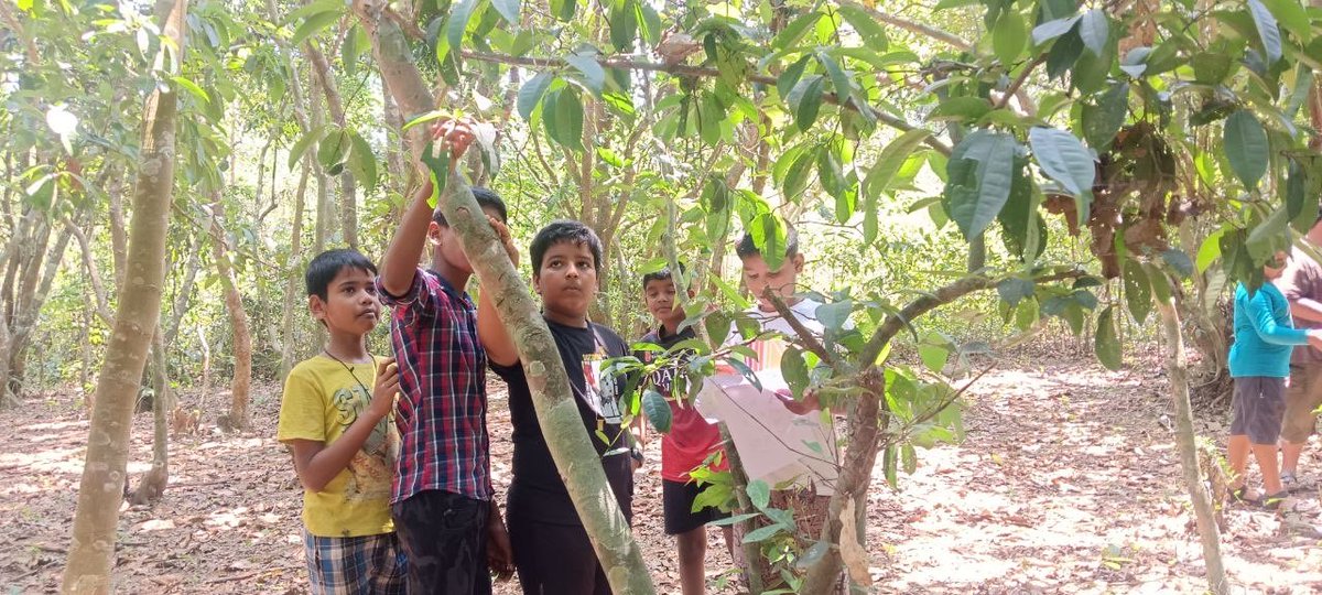 readingkafka's tweet image. Season watch activities in summer for kids in Karnataka’s rural public libraries. 🌷🌿📚🕊️