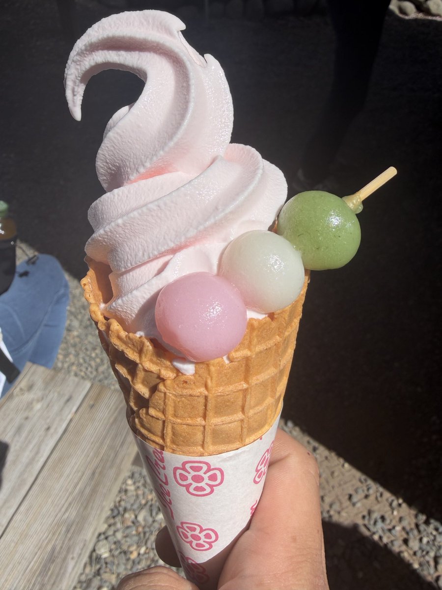 シャロン tweet media
