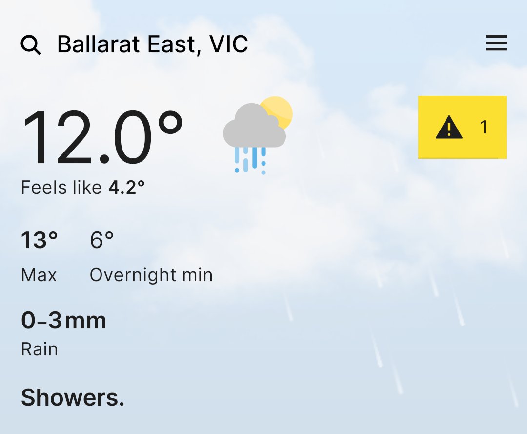 Trish 🐻 tweet media