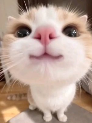 𝐚𝐜𝐡𝐚𝐧𐙚 ݁˖ tweet media