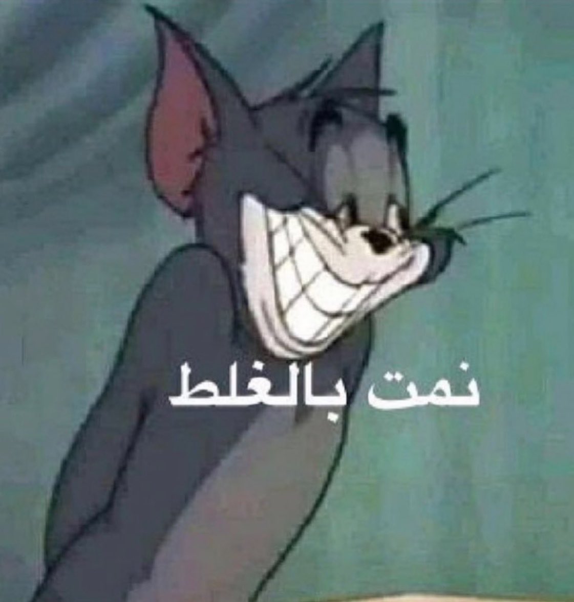 Alzainq8 tweet media