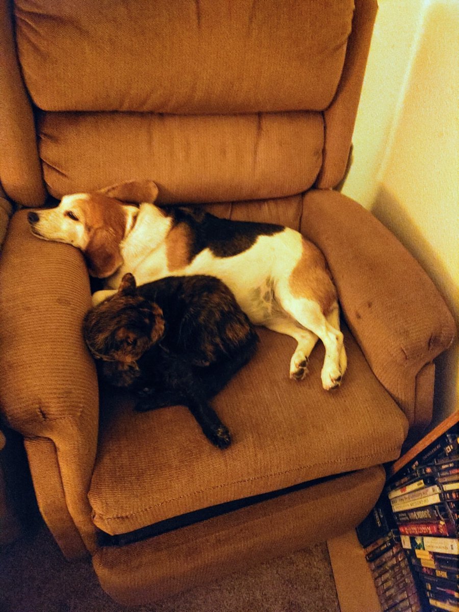 J.D. Trevathan tweet media