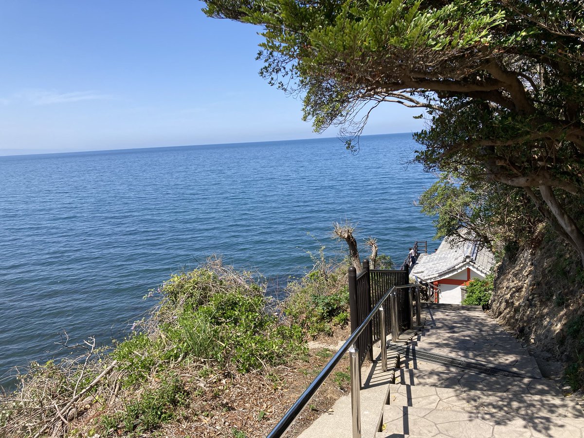 ぷりん tweet media