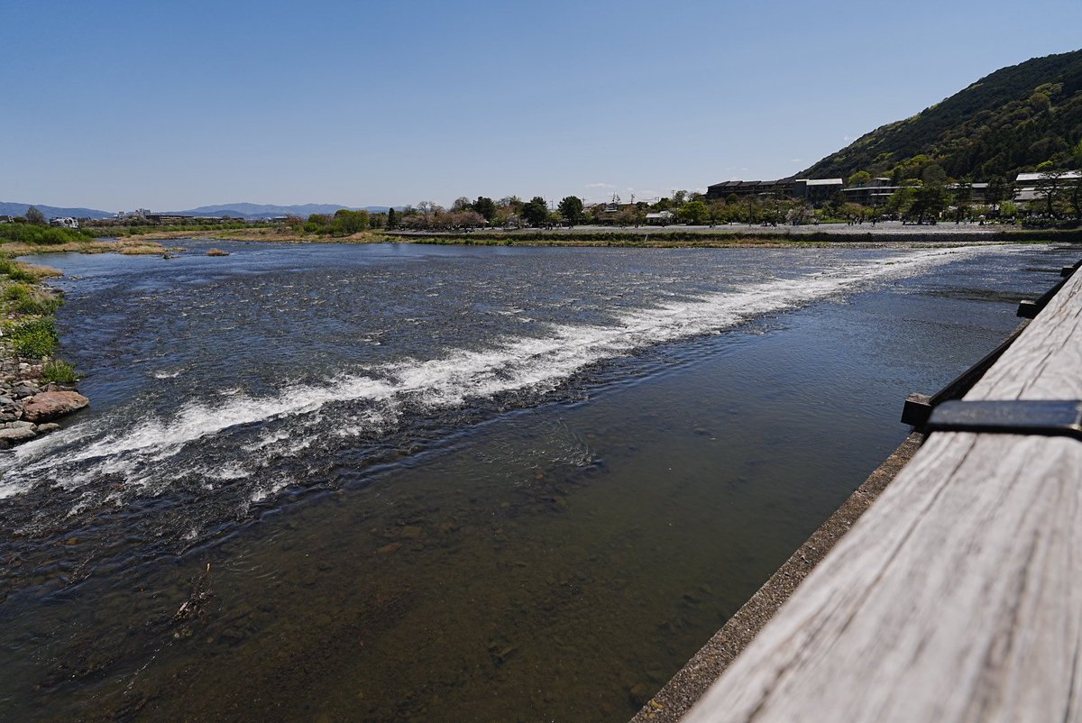 やすま tweet media